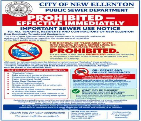 Flyer on Prohibited flushables in the sewers